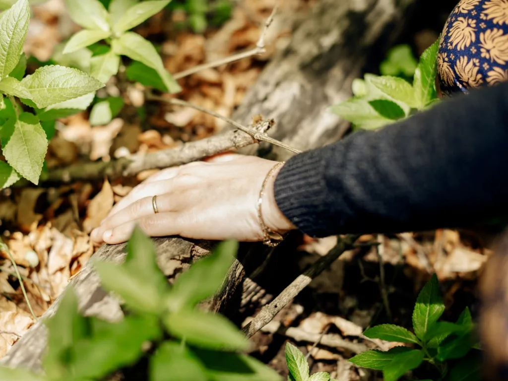 Bosc Terapéutic Les Torrenteres