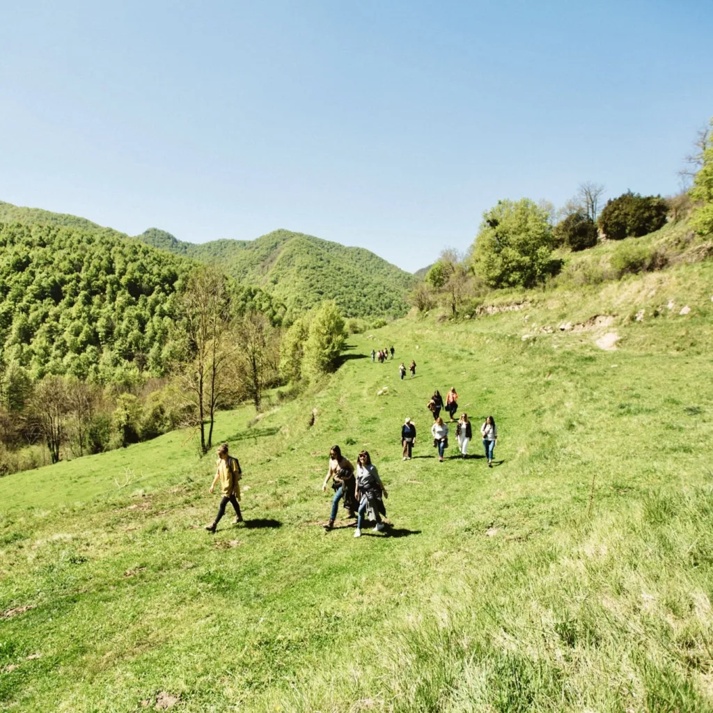 Bosc Vidrà